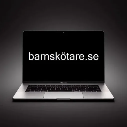 Discount -> BARNSKÖTARE.SE Domænenavn