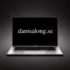 Sale -> DAMSALONG.SE Domænenavn