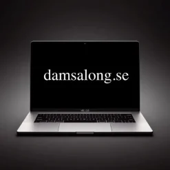 Sale -> DAMSALONG.SE Domænenavn