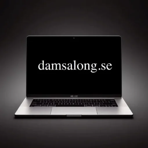 Sale -> DAMSALONG.SE Domænenavn