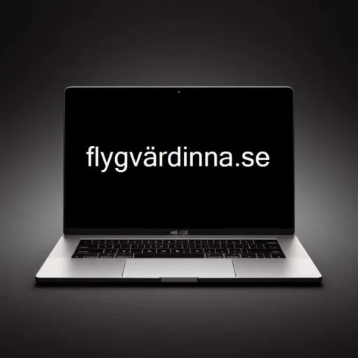 Cheap -> FLYGVÄRDINNA.SE Domænenavn