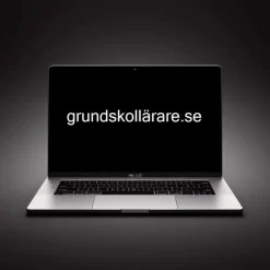 Store -> GRUNDSKOLLÄRARE.SE Domænenavn