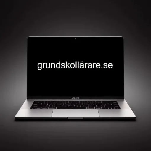 Store -> GRUNDSKOLLÄRARE.SE Domænenavn