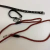 Tradera 2 halsband och 1 koppel> Kæledyrstilbehør