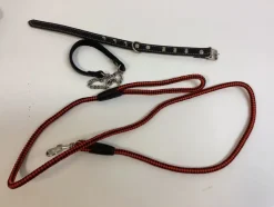 Tradera 2 halsband och 1 koppel> Kæledyrstilbehør