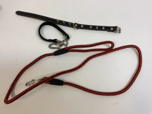 Tradera 2 halsband och 1 koppel> Kæledyrstilbehør