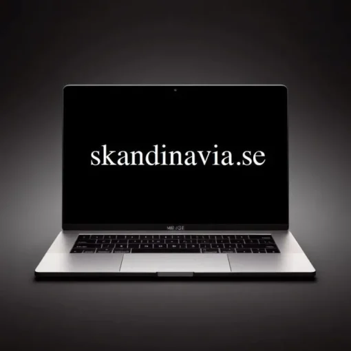 Best Sale -> SKANDINAVIA.SE Domænenavn
