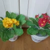 Tradera 2 st Konstgjorda blommor i Kruka , Gul-Röd| Kunstige Planter