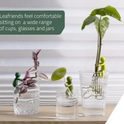 Tradera 3 st Leaf Buddies - Växtstöd för att rota sticklingar| Haveredskaber