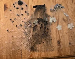 Outlet 3 st vintage hårnät Kuriosa