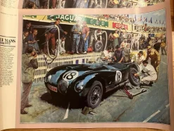 Tradera Afficher Le Mans 1953 - Jaguar C-Type> Plakater