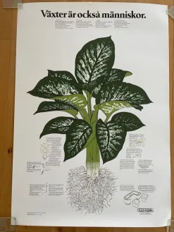 Tradera Affisch VÄXTER ÄR OCKSÅ MÄNNISKOR 70x100 Sv orig> Plakater