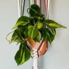 Tradera Ampel / Växt hängare i makramé| Potter & Plantedyrknings-systemer