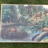 Shop Antik Skolplansch Djur Skog plansch tavla hjort lo bäver nostalgi inredning Kuriosa