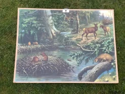 Shop Antik Skolplansch Djur Skog plansch tavla hjort lo bäver nostalgi inredning Kuriosa