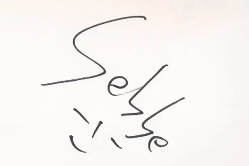 Tradera Autograph Sébastien GODFROY 96/2 Sailing| Autografer