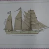 Tradera Barquentine Florida 1874 Affisch III Tre Tryckare| Både