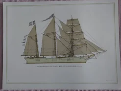 Tradera Barquentine Florida 1874 Affisch III Tre Tryckare| Både