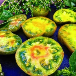 Tradera BERKELY TIE DYE - Dwarf. tomat frön| Planter Og Frø