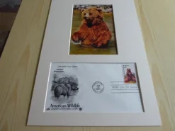 Tradera Brunbjörn fotografi & förstadagsbrev passepartout storlek A4| Nordamerika