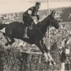 Tradera Cigarette Picture Card Olympics 1932-Horse jumping> Olympia