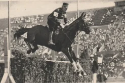Tradera Cigarette Picture Card Olympics 1932-Horse jumping> Olympia