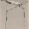 Tradera Cigarette Picture Card Olympics 1932-Pole vault> Olympia