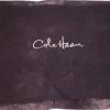 Sale Cole Haan shoe dust bag-brown material-NO SHOES-38.5cm x 34cm (Weight: 22g) Andet Tilbehør