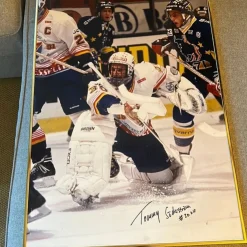 Tradera Djurgårdens hockey> Sportsmemorabilia