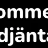 Cheap Domännamn: fäbodjäntan.se Domænenavn