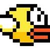Fashion Domännamn: flappybird.se Domænenavn
