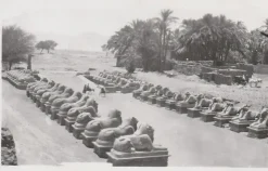 Tradera Egypten Karnak Sfinxallén| Verden Undtagen De Nordiske Lande