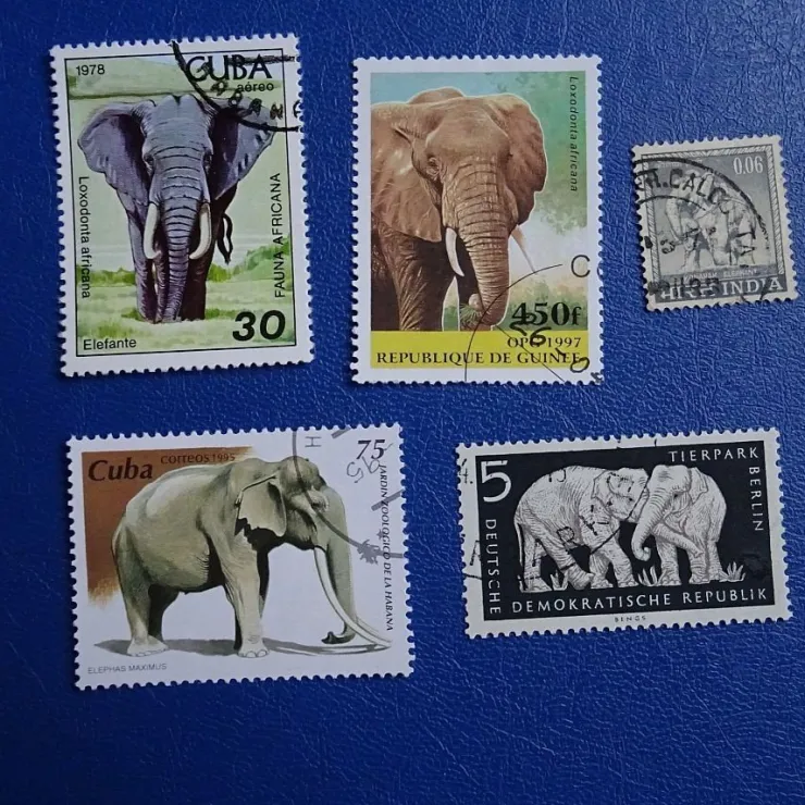Tradera Elefanter , 5 st frimärken , olika länder| Flere Lande