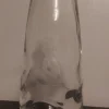 Fashion Elis Bergh Vas. Glas