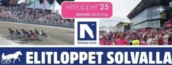 Online Elitloppet Solvalla 2025 Sportsbegivenheder