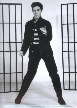 Tradera Elvis Presley - Vykort i plåt - PlåtVykort> Musikmemorabilia