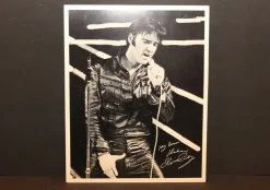 Tradera Elvis Presley From Memphis to Vegas Bonusfoto från 1969| Musiktilbehør