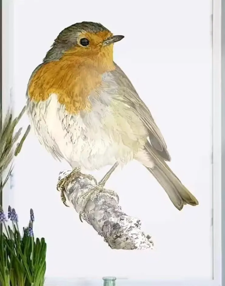 Tradera EMMA SJÖDIN PRINT RÖDHAKE 50X70 CM| Anden Kunst