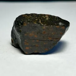 Online En halv sten av meteorit - Northwest Africa 15838 - CV3 - 17g Arkæologi