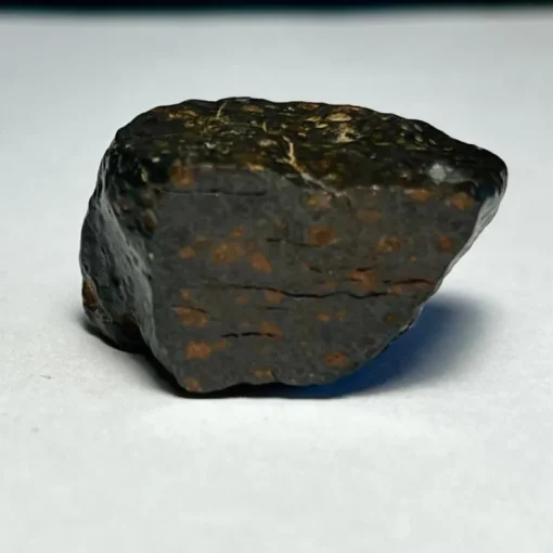 Online En halv sten av meteorit - Northwest Africa 15838 - CV3 - 17g Arkæologi