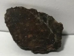 Best Sale Eucrite meteorit breccia - NWA 15932 - Ändskärning - 75.3g Arkæologi