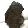Discount Fin meteorit - CO3 - Northwest Africa 16193 - Ändskärning - 124g Arkæologi