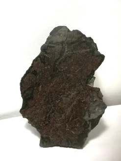 Discount Fin meteorit - CO3 - Northwest Africa 16193 - Ändskärning - 124g Arkæologi