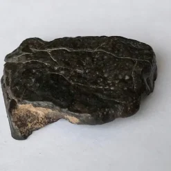Shop Fin meteorit - CO3 - Northwest Africa 16193 - Ändskärning - 29g Arkæologi
