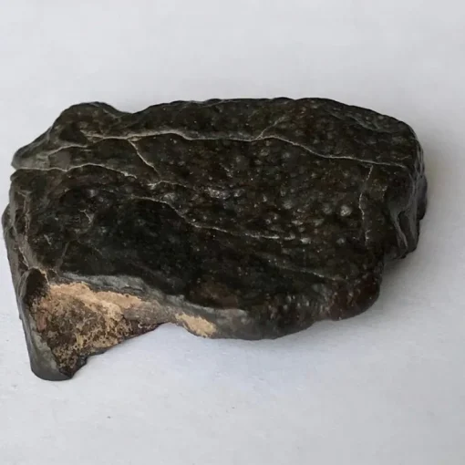 Shop Fin meteorit - CO3 - Northwest Africa 16193 - Ändskärning - 29g Arkæologi
