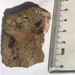 New Fin meteorit - Jikharra 001 Eucrite-melt breccia - Ändskärning - 30g Arkæologi