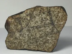 Outlet Fin meteorit - Viñales - kondrit L6 - Ändskärning - 89g Arkæologi