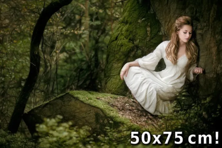 Tradera Flickan i trollskogen - Print på hela 50x75 cm Tavla - Begränsad upplaga 5/25| Fotokunst