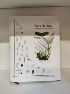 Hot Flora Nordica: v.1 Lycopodiaceae - Polygonaceae Botanik