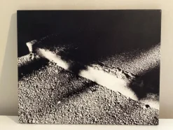 Tradera Fotografi | Plakater